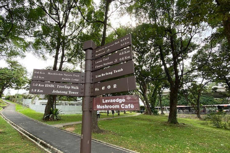 Nature is calling, Best Public Parks in Singapore