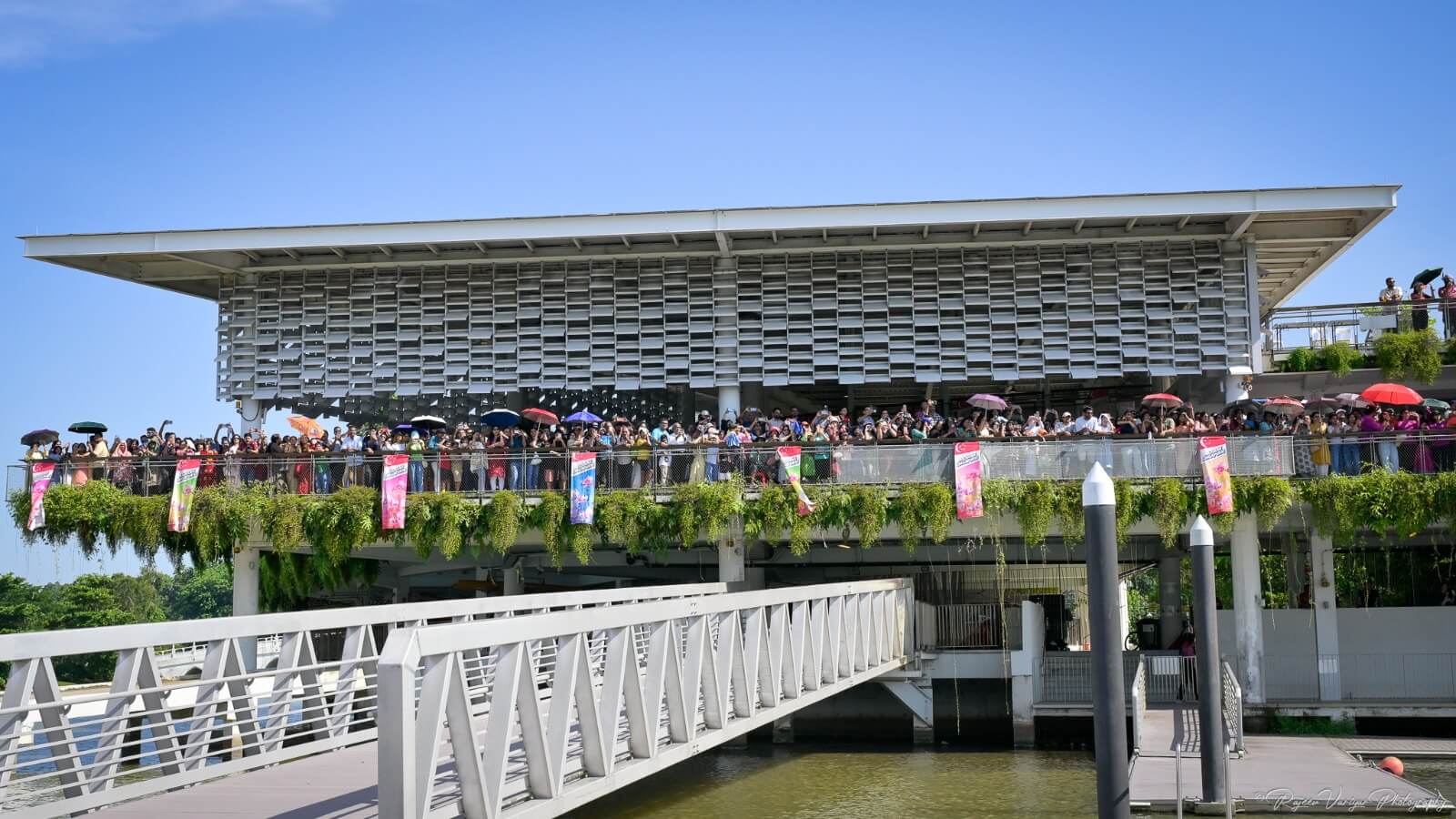 Singapore Malayalees Kick Off Onam 2026 with a Vallam Kali Dragon Boat Race